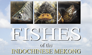 banner for "Fishes of Indochinese Mekong"