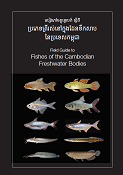 カンボジアのメコン河流域。カルダモン山脈を水源とする河川の魚類図鑑