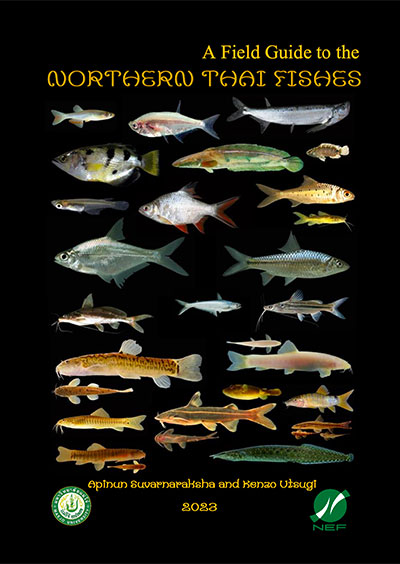 Field Guide to the Northern Thai Fishes