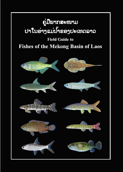 Fishes of the Mekong Basin of Laos